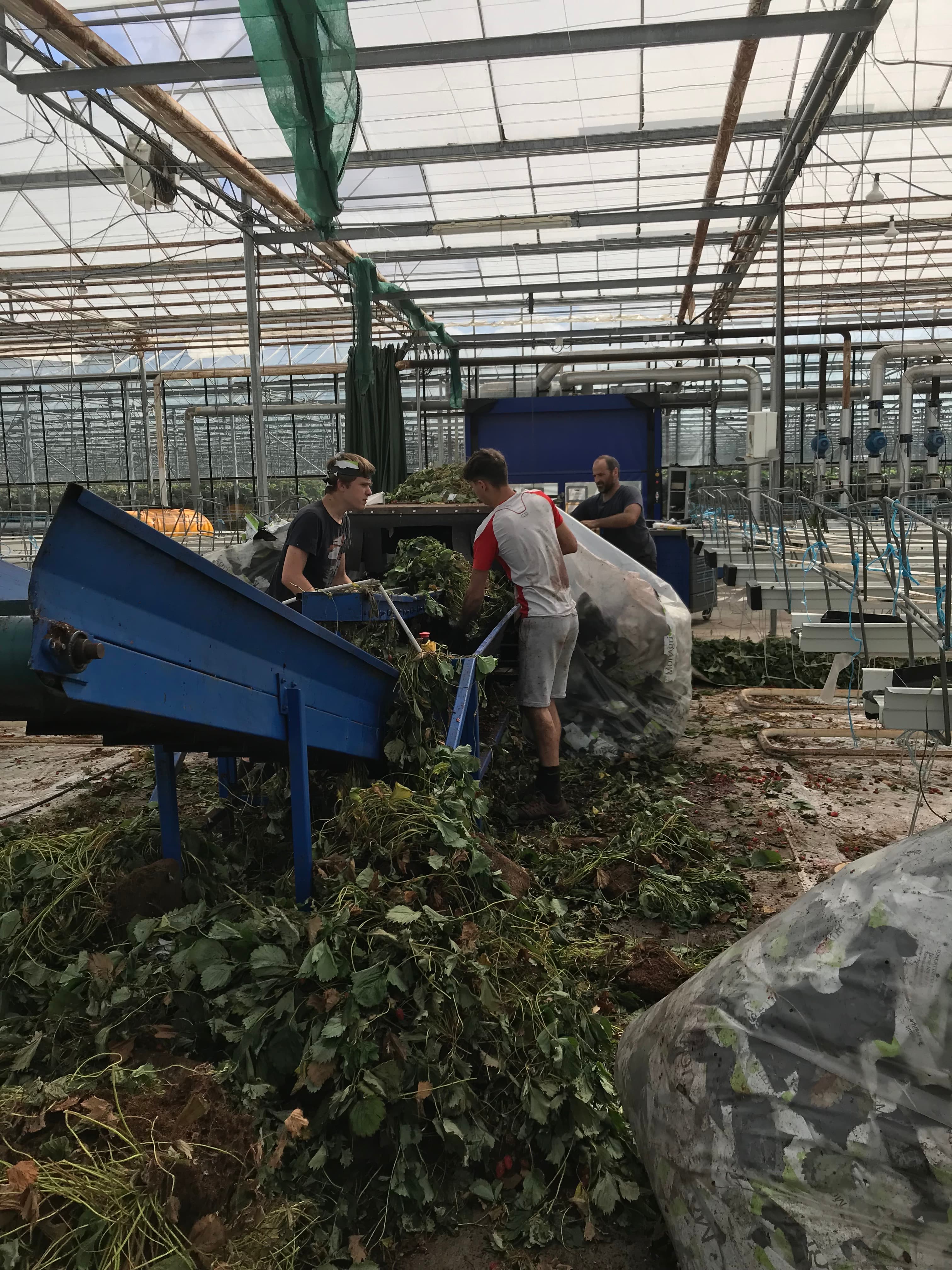 Équipe au travail dans les serres de Kergasken